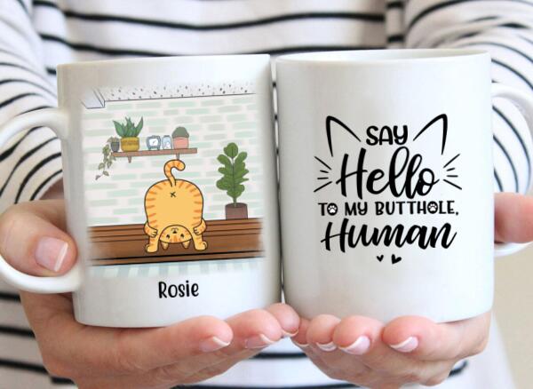 Say Hello to My Butthole, Human - Personalized Gifts Custom Cat Mug for Cat Mom, Cat Lovers