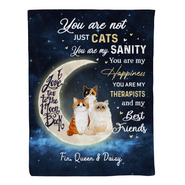 Personalized Blanket, You Are Not Just Cats, Gifts For Cat Lovers