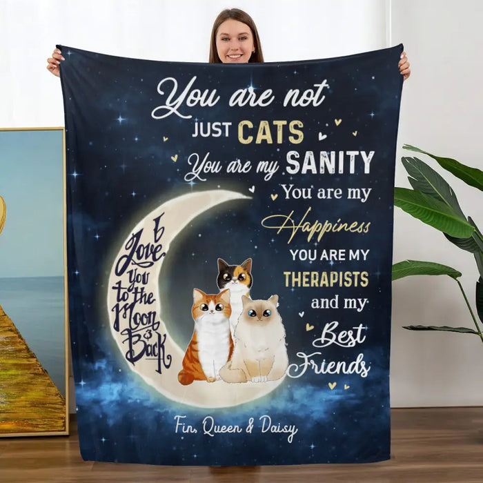 Personalized Blanket, You Are Not Just Cats, Gifts For Cat Lovers