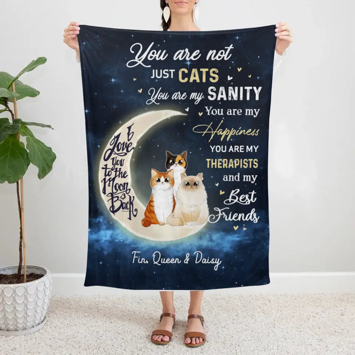 Personalized Blanket, You Are Not Just Cats, Gifts For Cat Lovers