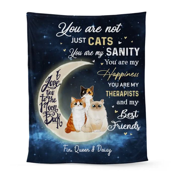 Personalized Blanket, You Are Not Just Cats, Gifts For Cat Lovers