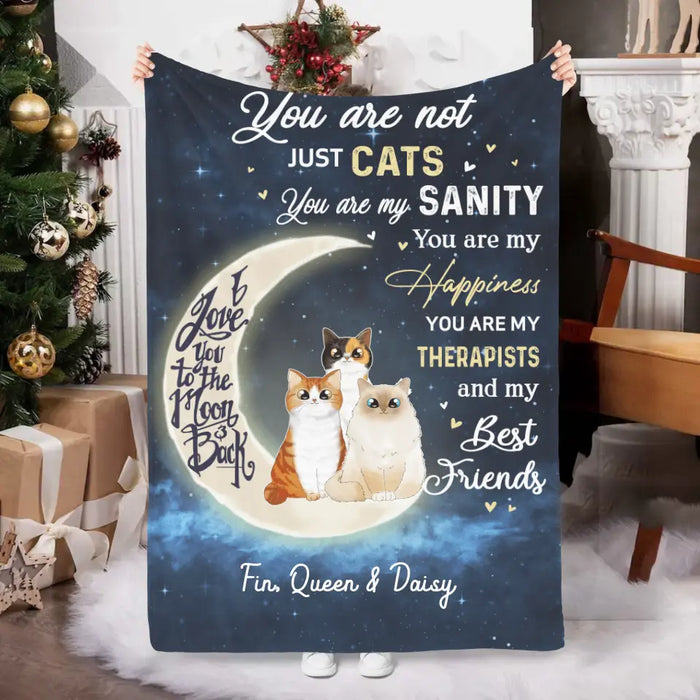 Personalized Blanket, You Are Not Just Cats, Gifts For Cat Lovers