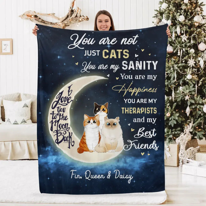 Personalized Blanket, You Are Not Just Cats, Gifts For Cat Lovers