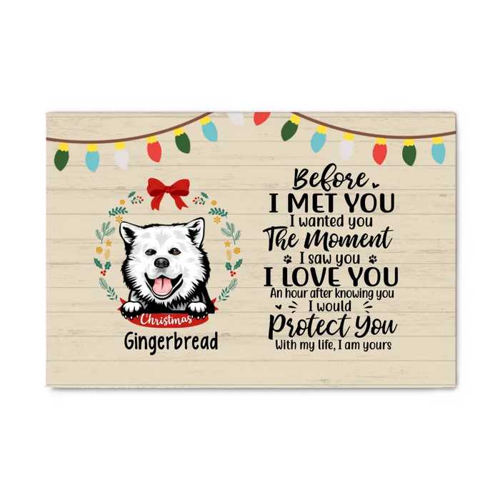 Personalized Canvas, Before I Met You, Christmas Theme, Christmas Gift For Dog Lovers