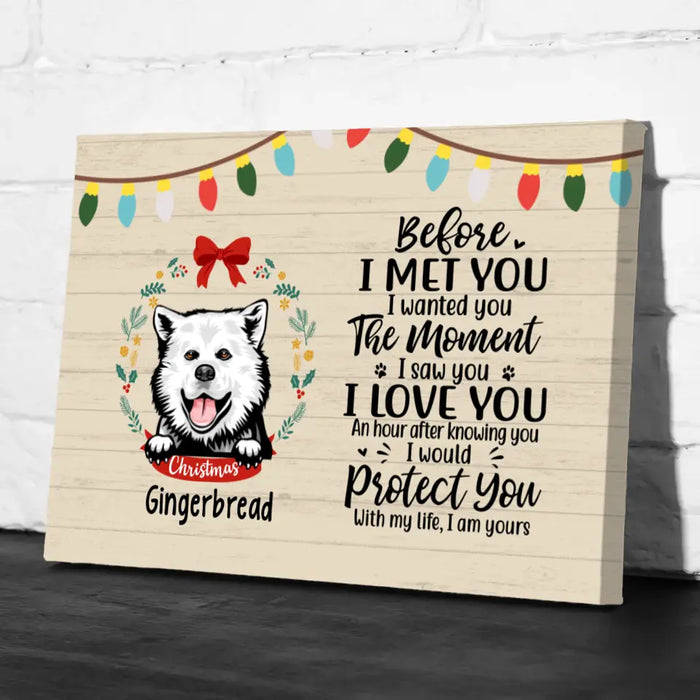 Personalized Canvas, Before I Met You, Christmas Theme, Christmas Gift For Dog Lovers