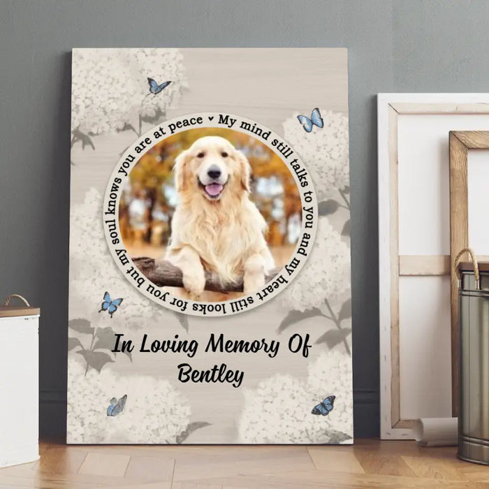 My Mind Still Talks To You - Personalized Canvas Photo Upload, Dog Lovers, Cat Lovers, Memorial