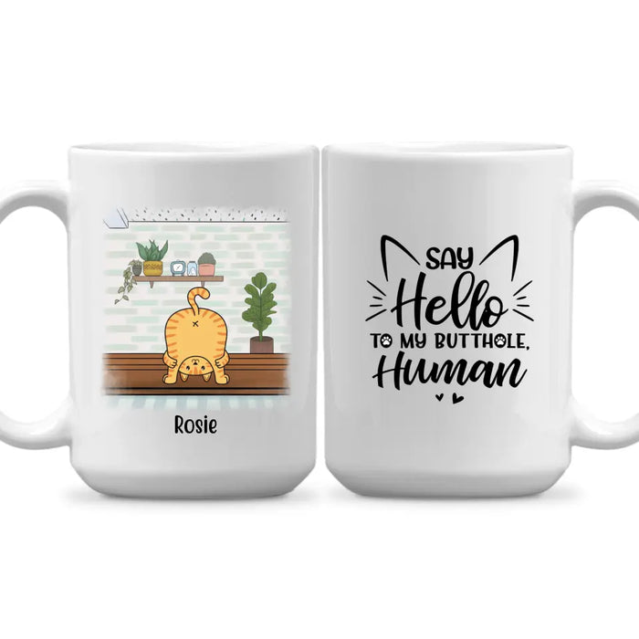 Say Hello to My Butthole, Human - Personalized Gifts Custom Cat Mug for Cat Mom, Cat Lovers