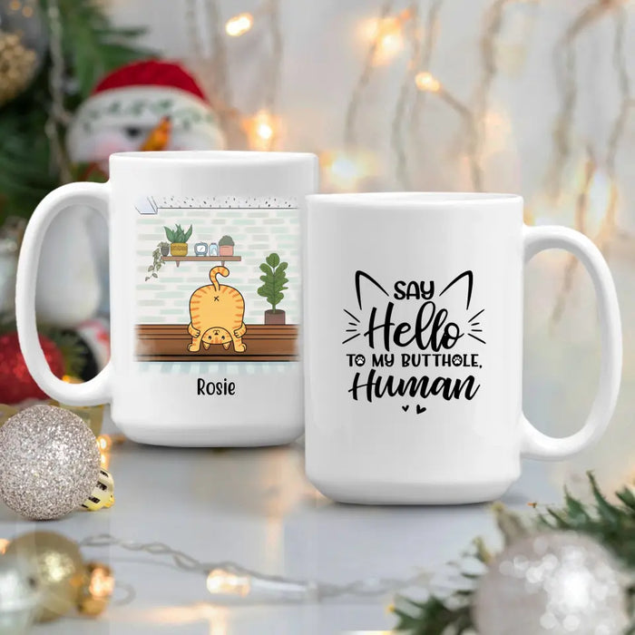 Say Hello to My Butthole, Human - Personalized Gifts Custom Cat Mug for Cat Mom, Cat Lovers