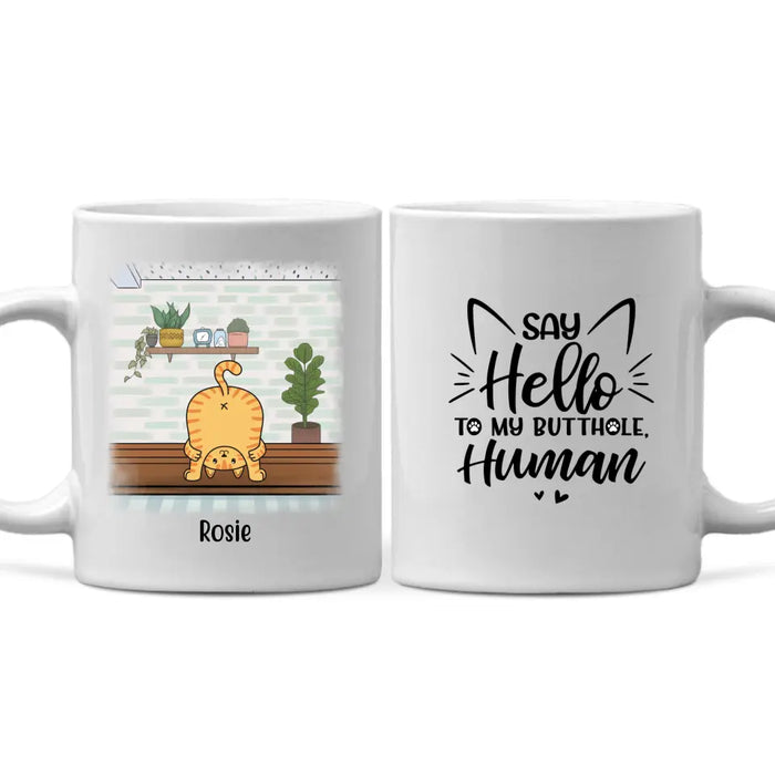 Say Hello to My Butthole, Human - Personalized Gifts Custom Cat Mug for Cat Mom, Cat Lovers