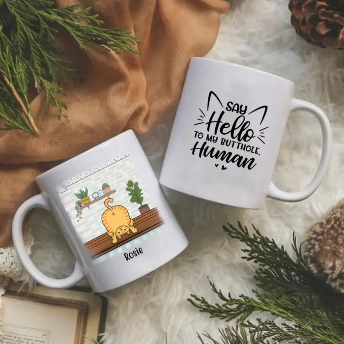 Say Hello to My Butthole, Human - Personalized Gifts Custom Cat Mug for Cat Mom, Cat Lovers