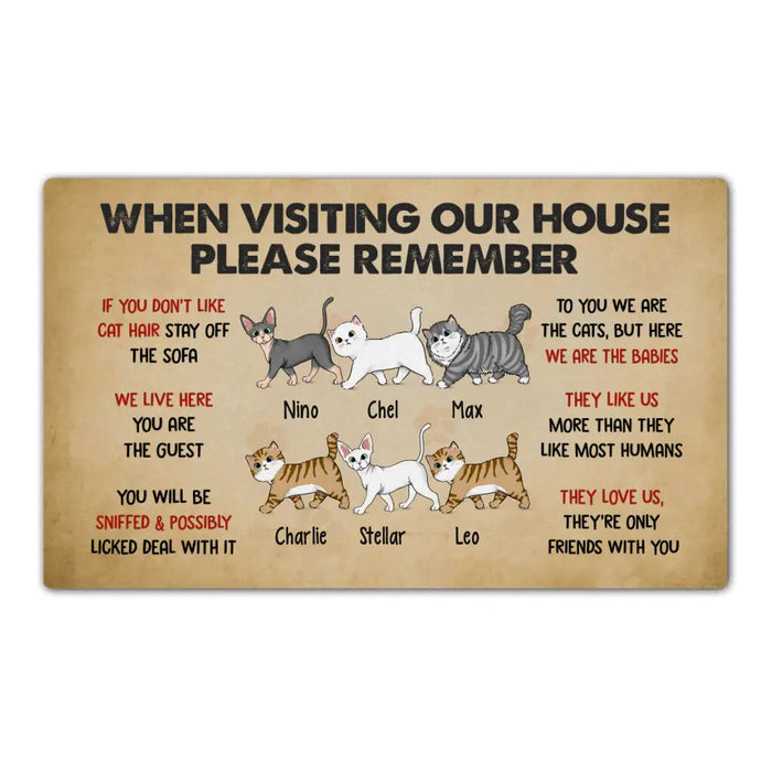 Please Remember When Visiting Cats House - Personalized Doormat For Cat Lovers, Funny Cat Doormats