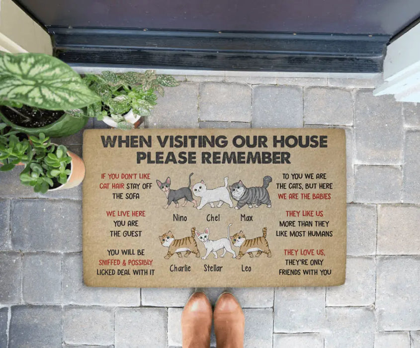 Please Remember When Visiting Cats House - Personalized Doormat For Cat Lovers, Funny Cat Doormats