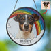 dog-photo-mc-1