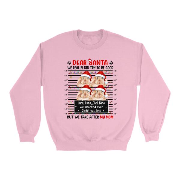 Personalized Shirt, Up To 4 Bunnies, Dear Santa We Really Did Try To Be Good, Christmas Gift For Bunny Lovers