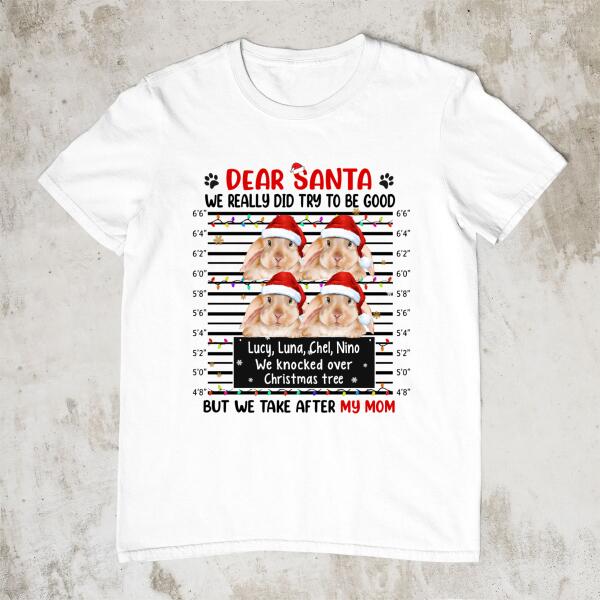 Personalized Shirt, Up To 4 Bunnies, Dear Santa We Really Did Try To Be Good, Christmas Gift For Bunny Lovers