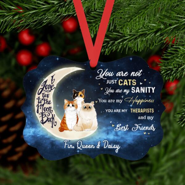 Personalized Ornament, Metal Ornament, You Are Not Just Cats, Gifts For Cat Lovers