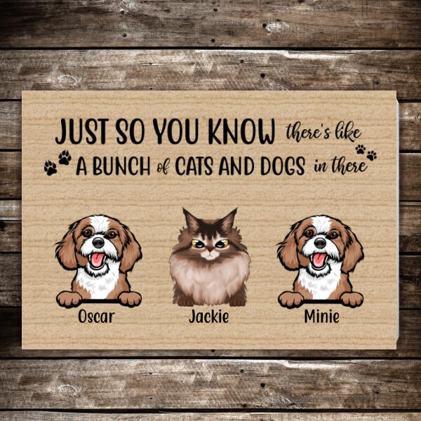 Personalized Doormat, There's A Bunch Of Cats And Dogs In There Custom Gift For Dog Cat Lovers