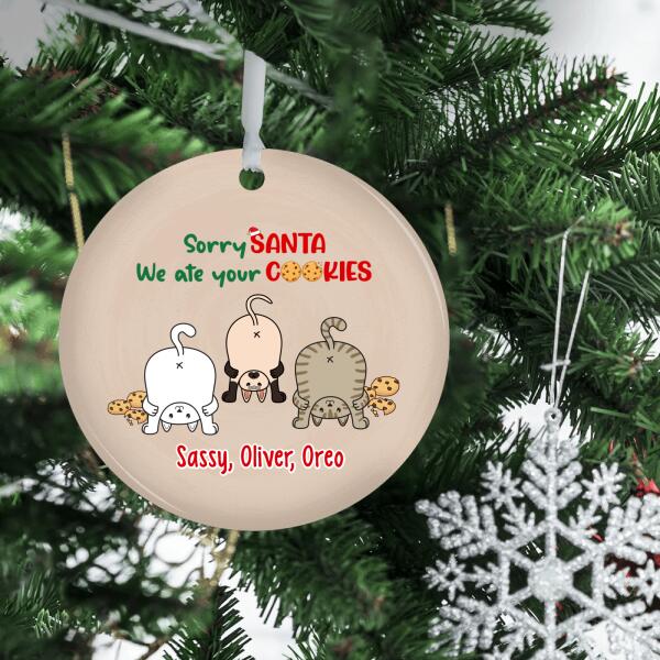 Personalized Ornament, Sorry Santa, We Ate Your Cookies, Christmas Gift For Cat Lovers, Whole Family