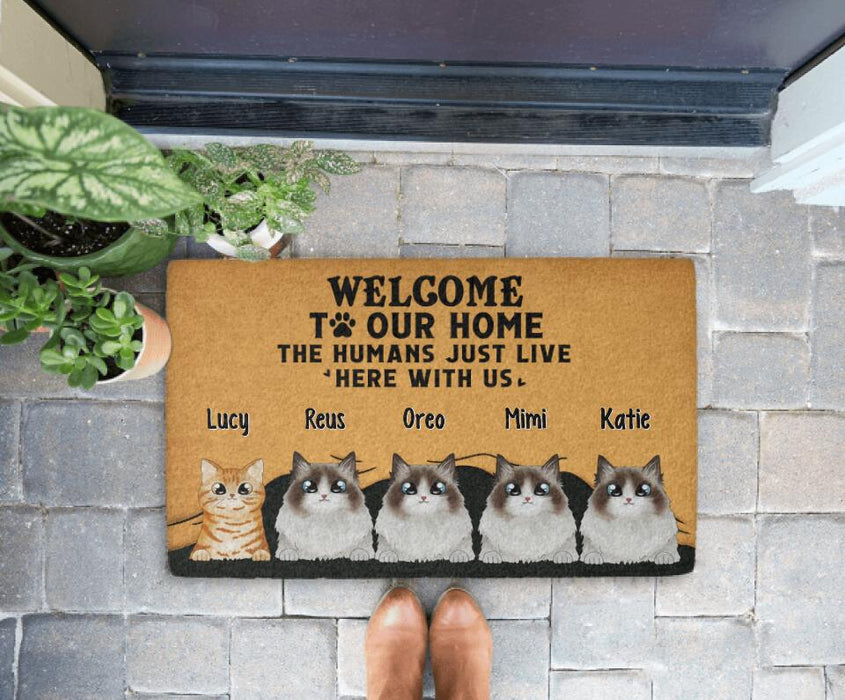 Welcome to Our Home - Cat Personalized Gifts Custom Doormat for Family