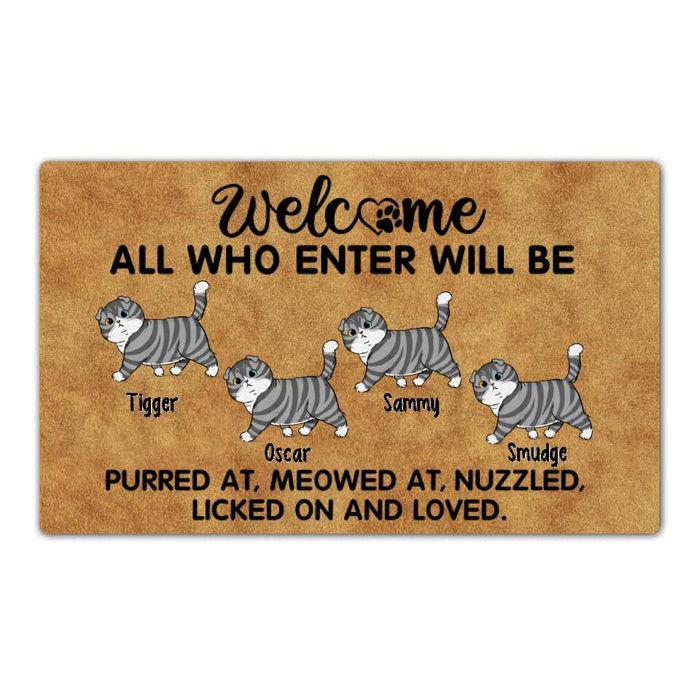 Welcome All Who Enter - Cat Personalized Gifts Custom Doormat For Family