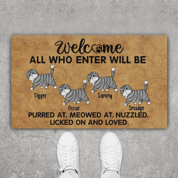 Welcome All Who Enter - Cat Personalized Gifts Custom Doormat For Family