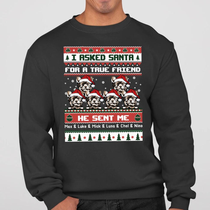 Personalized Shirt, I Asked Santa For A True Friend He Sent Me My Dogs, Christmas Gift For Dog Lovers