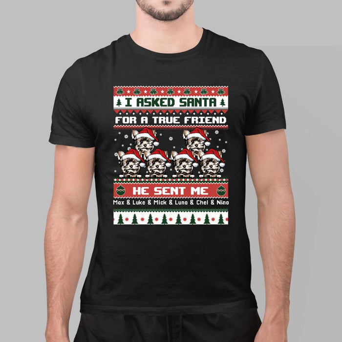 Personalized Shirt, I Asked Santa For A True Friend He Sent Me My Dogs, Christmas Gift For Dog Lovers