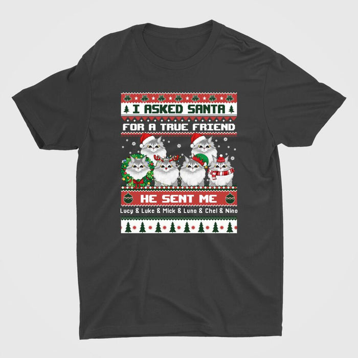 Personalized Shirt, I Asked Santa For A True Friend He Sent Me My Cats, Christmas Gift For Cat Lovers