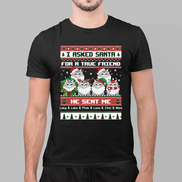 Personalized Shirt, I Asked Santa For A True Friend He Sent Me My Cats, Christmas Gift For Cat Lovers