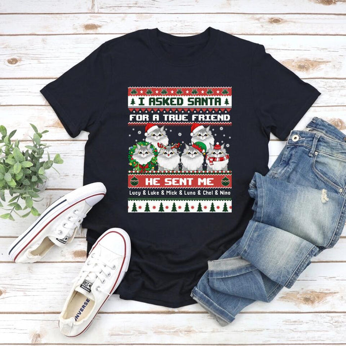 Personalized Shirt, I Asked Santa For A True Friend He Sent Me My Cats, Christmas Gift For Cat Lovers