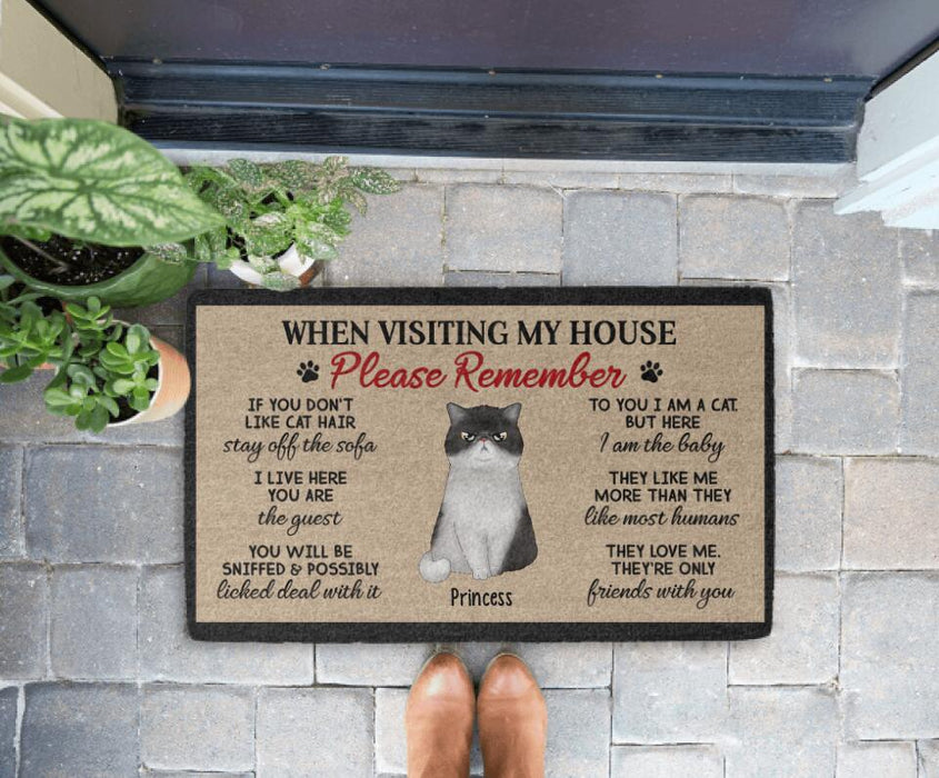 When Visiting My House Please Remember Up To 4 Cats - Cat Lovers Personalized Gifts Custom Doormat For Family