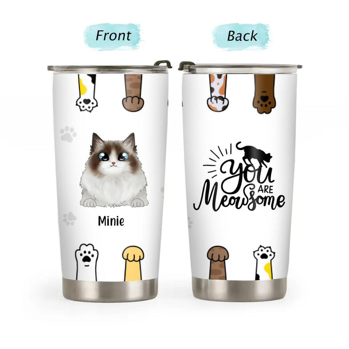 You Are Meowsome - Personalized Gifts Custom Tumbler for Cat Mom or Cat Dad