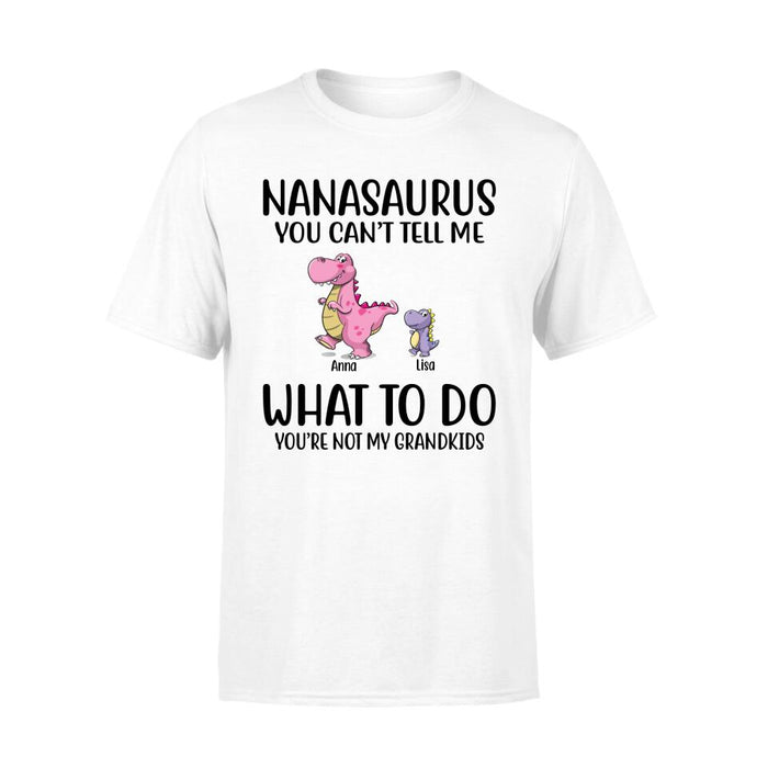 Personalized Shirt, Nanasaurus You Cant Tell Me What To Do Custom Gift For Parents Day