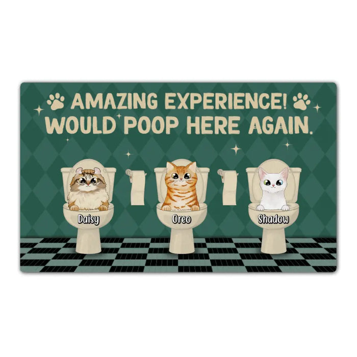 Amazing Experience Would Poop Here Again - Cat Personalized Gifts Custom Doormat for Family