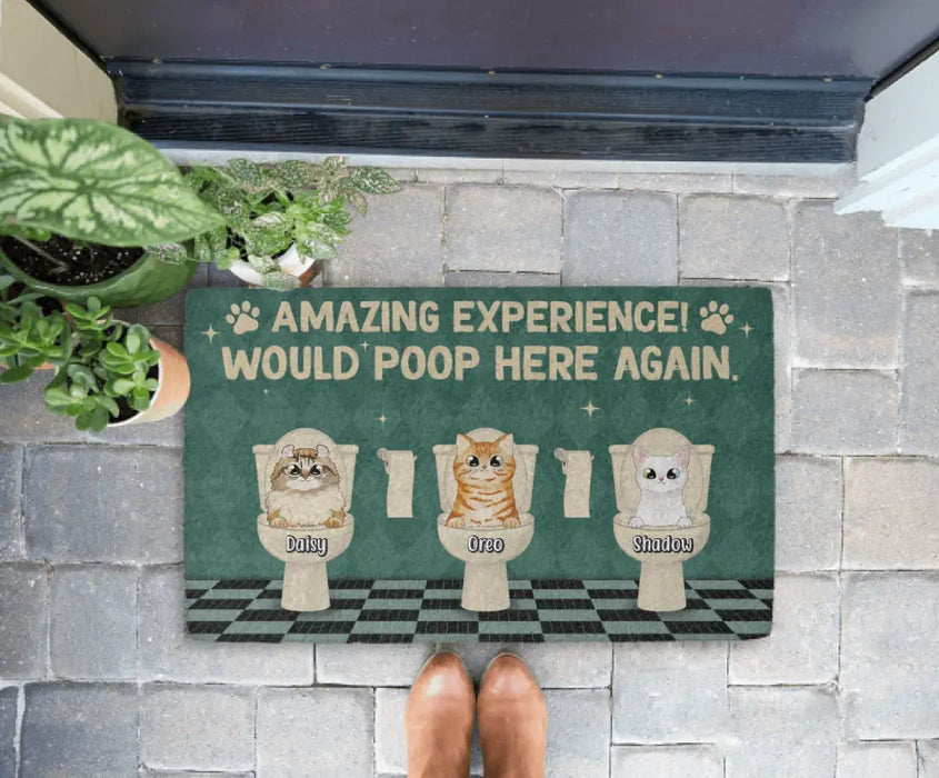 Amazing Experience Would Poop Here Again - Cat Personalized Gifts Custom Doormat for Family